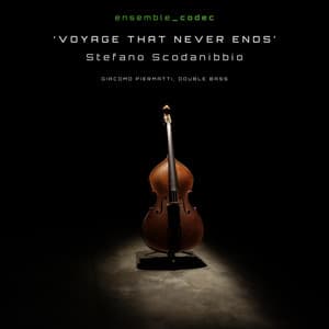 Voyage that never ends - Stefano Scodanibbio