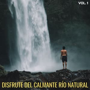 Disfrute Del Calmante Río Natural Vol. 1 - Rios y corrientes