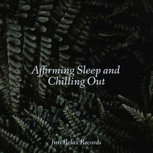 Affirming Sleep and Chilling Out - Musica para Meditar