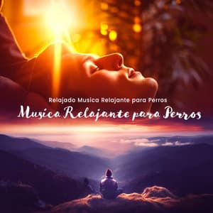 Musica Relajante para Perros - Relajado Musica Relajante para Perros