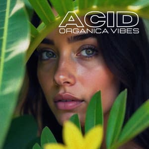 Acid Organica Vibes - Chillout