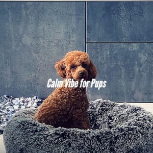 Calm Vibe for Pups - Gentle Doggy Music