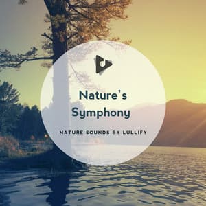 Nature’s Symphony - Nature Sounds by Lullify