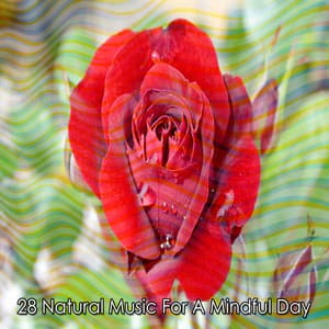 28 Natural Music For A Mindful Day - Nature Sounds - Sons de la nature