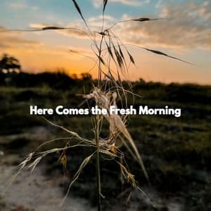Here Comes the Fresh Morning - Musique de Restaurant Chic