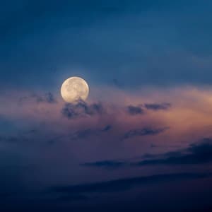 Zen - Pure Healing Waves