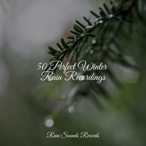 50 Perfect Winter Rain Recordings - Ambiente