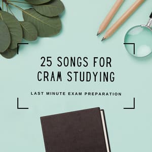 25 Songs for Cram Studying - Peaceful Music for Last Minute Exam Preparation - Fast Learning PhD