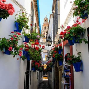 花びらのパーティ - Easy Listening Instrumental Music