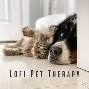 Lofi Pet Therapy: Relaxing Melodies for Calm Companions - Lofi Night Drives