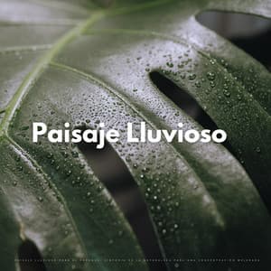Paisaje Lluvioso Para El Enfoque: Sinfonía De La Naturaleza Para Una Concentración Mejorada - La Fábrica de Lluvia