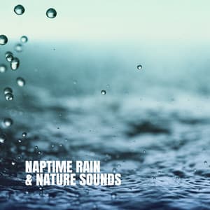 Naptime Rain & Nature Sounds - Relaxing Rain Sounds