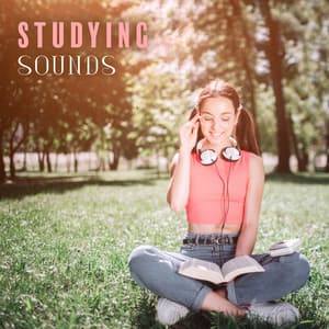 Studying Sounds: Improve Your Mental Capabilities - Tai Chi And Qigong