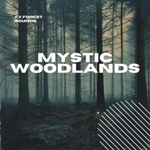 Mystic Woodlands: Serene Forest Melodies - FX Forest Sounds