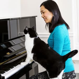 Tranquil Cat Dreamland: Piano Music for Contentment - Relaxing Piano Music Classic