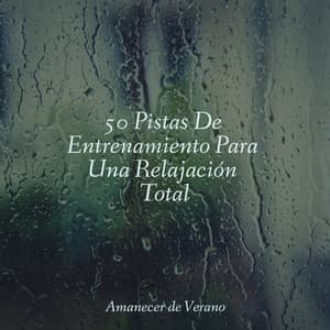 50 Pistas De Entrenamiento Para Una Relajación Total - Dulces Sueños