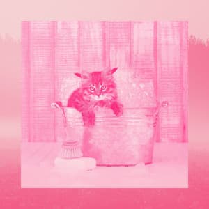 Bgm for Lounging Kittens - Music for Resting Cats