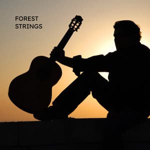 Forest Strings - Guitar Music Club