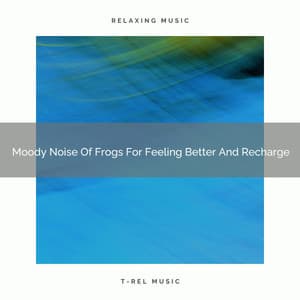 Moody Noise Of Frogs For Feeling Better And Recharge - Grey Noise Baby Sleep