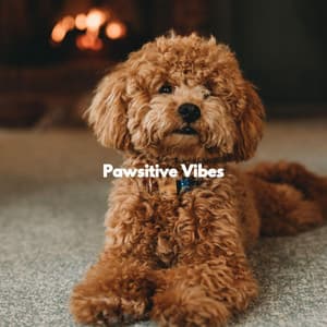 Pawsitive Vibes - Relaxing Dog Music Classics