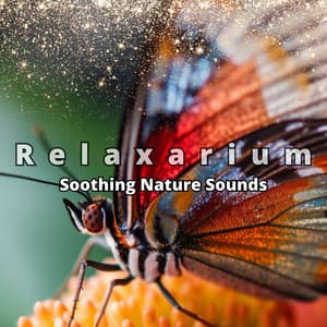 Soothing Nature Sounds - Peace and Joy, Mindfulness, Yoga, Aromatherapy & Wellness - Relaxarium