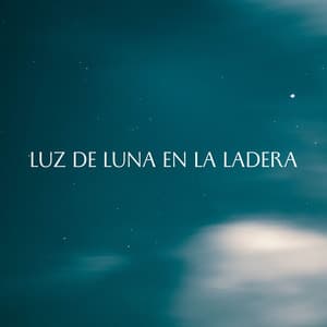 Luz De Luna En La Ladera - Noche Nublada