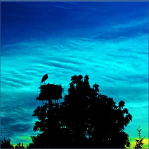 White Noise, Brown Noise, Appliances, Water and other Background Audio - Sleep Soundscapes