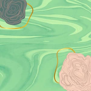 Bossa Guitars - Background Music for Amazing Starts - Chill Vibes