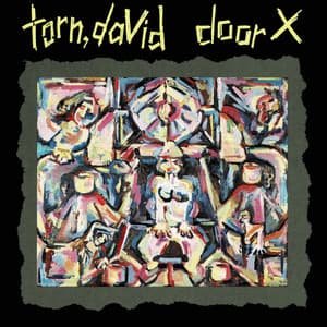 Door X - David Torn