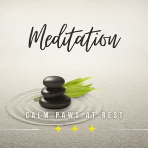 Calm Paws at Rest: Meditative Moments for Dogs - Relaxing Music for Dog