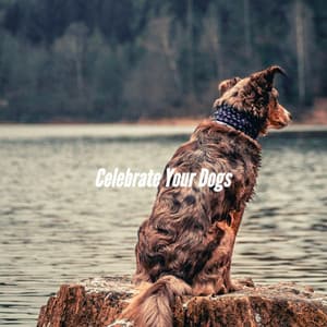 Celebrate Your Dogs - Calming Jazz For Dogs