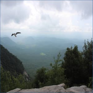 Soothing Brown Noise, Brown Waves, Dryers and other Ambient Sounds for Rest and Ambiance - A Deeper Sleep Still