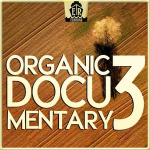 Organic Documentary 3 - Mixed Mallets - Andreas Suttner