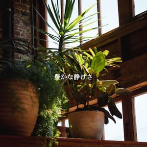 豊かな静けさ - Reading Background Music