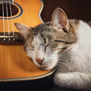 Rasgueos De Bigotes: Música De Guitarra Para Gatos - Guitarra Relajante Musica De Fondo