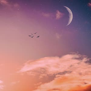 50 Songs For A Restful Night: White Noise - White Noise for Babies