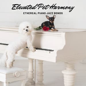 Elevated Pet Harmony: Ethereal Piano Jazz Bonds - Romany Guitar Connection