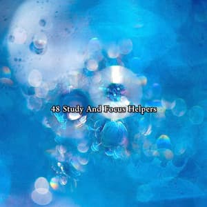 48 Study And Focus Helpers - Zen Meditation