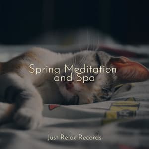 Spring Meditation and Spa - Deep Sleep Meditation