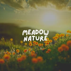 Meadow Nature - Weather and Nature Recordings