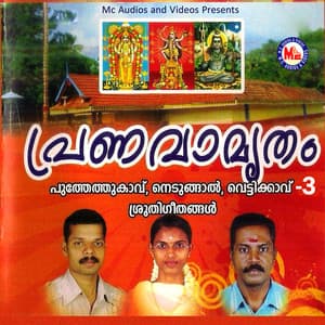 Pranavamrutham, Vol. 3 - Prasad