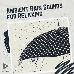 Ambient Rain Sounds for Relaxing - #Calming