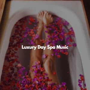 Luxury Day Spa Music - Deep Sleep Meditation Radio