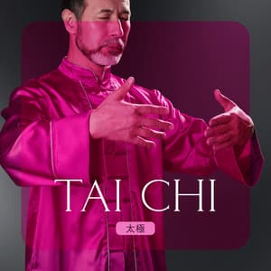 Tai Chi 太極 - Yin & Yang Balancing Healing Chinese Music For Beginners - Qiang Hirohashi