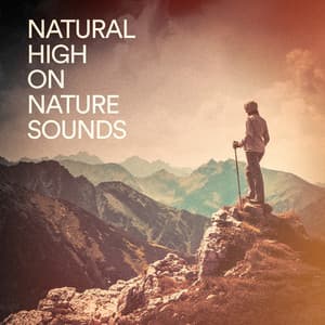 Natural High on Nature Sounds - Nature Sounds Nature Music