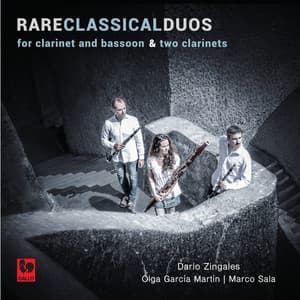 Franz Wilhelm Tausch - Franz Anton Hoffmeister - François René Gebauer: Rare Classical Duos - Dario Zingales