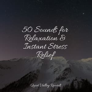 50 Sounds for Relaxation & Instant Stress Relief - Meditative Music Guru