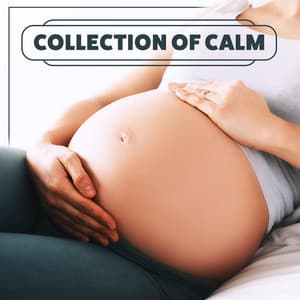 Collection of Calm: Soothing Sleep, Yoga Dreamland, White Noise, Home Birth, Yoga Prenatal - Restful Sleep Music Academy