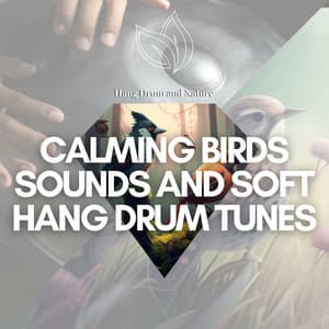 Calming Birds Sounds and Soft Hang Drum Tunes - Hang Drum and Nature