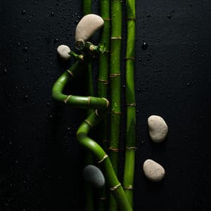 Whispers Beneath the Bamboo Canopy - Chin Bamboo